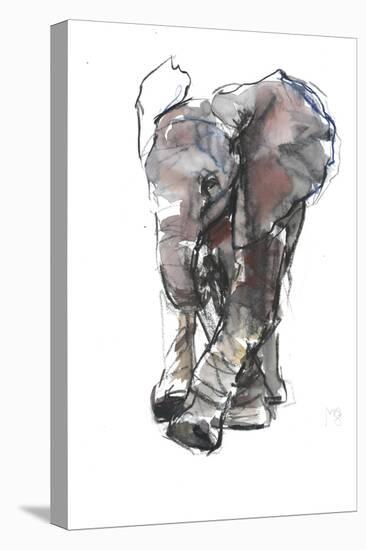 Baby Elephant Study-Mark Adlington-Premier Image Canvas