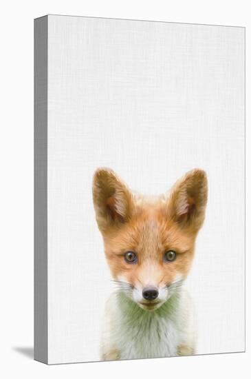 Baby Fox-Tai Prints-Stretched Canvas