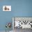 Baby Guinea Pig in and Wearing a Father Christmas Hat-Mark Taylor-Premier Image Canvas displayed on a wall