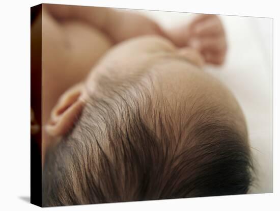 Baby Hair-Ian Boddy-Premier Image Canvas