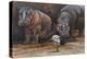 Baby Hippos-Peter Blackwell-Stretched Canvas