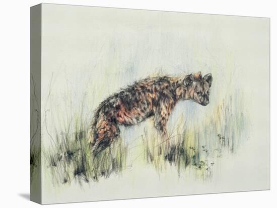 Baby Hyena, 1995-Odile Kidd-Premier Image Canvas