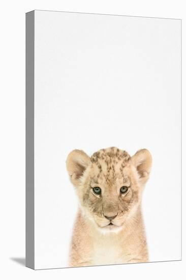 Baby Lion-Tai Prints-Stretched Canvas