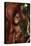 Baby Orangutan Clinging to its Mother-DLILLC-Premier Image Canvas