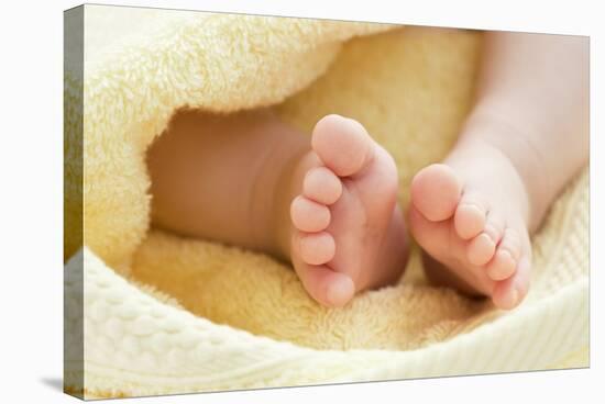 Baby's Feet-Ruth Jenkinson-Premier Image Canvas