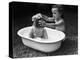 Baby Siblings Taking a Bath-Bettmann-Premier Image Canvas