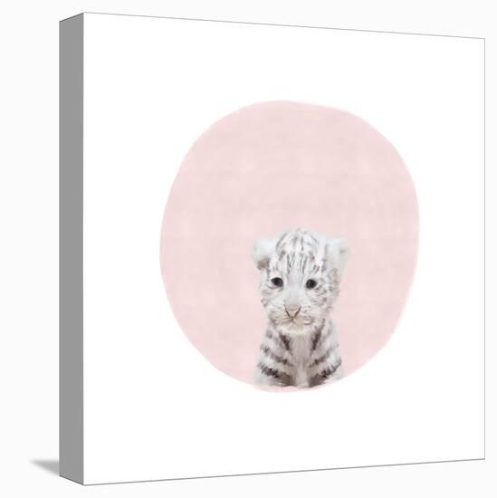 Baby White Tiger Pink-Leah Straatsma-Stretched Canvas