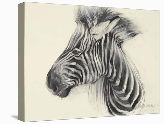 Baby Zebra, 2000-Odile Kidd-Premier Image Canvas