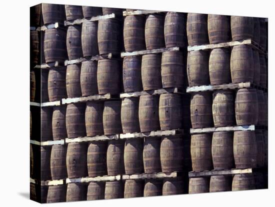 Bacardi Rum Ages in Oak Barrels, San Juan, Puerto Rico-Michele Molinari-Premier Image Canvas