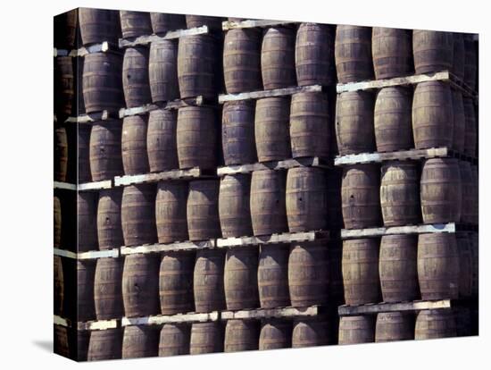 Bacardi Rum Ages in Oak Barrels, San Juan, Puerto Rico-Michele Molinari-Premier Image Canvas