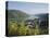 Bacharach, Rhine Valley, Germany, Europe-Hans Peter Merten-Premier Image Canvas