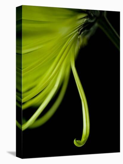 Back Drop 1-Doug Chinnery-Premier Image Canvas