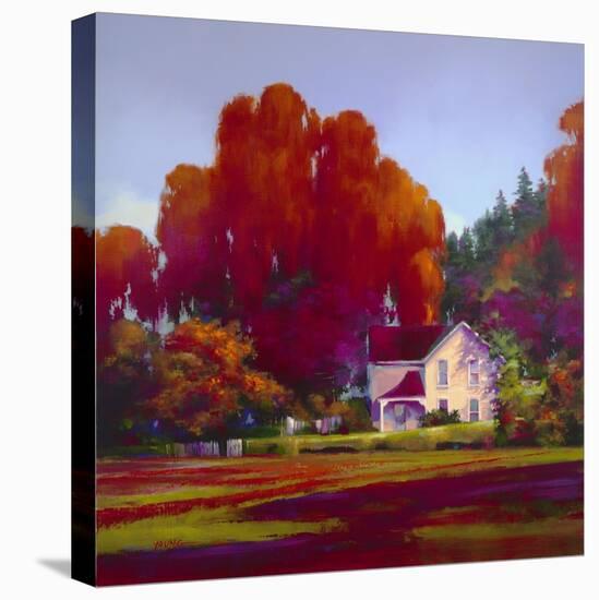 Back Porch-Donna Young-Premier Image Canvas