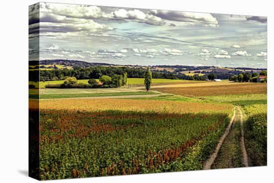 Back Road From Francescas-Colby Chester-Premier Image Canvas