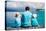 Back View of Father and Kids Sitting on Wooden Dock Looking to Ocean-BlueOrange Studio-Premier Image Canvas