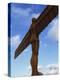 Back View of the Angel of the North Statue, Newcastle Upon Tyne, Tyne and Wear, England, UK-Neale Clarke-Premier Image Canvas