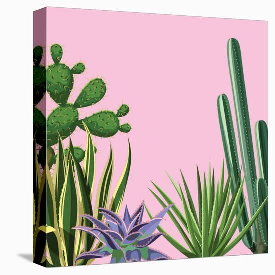 Background with Cactuses and Succulents Set. Plants of Desert.-incomible-Stretched Canvas