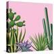 Background with Cactuses and Succulents Set. Plants of Desert.-incomible-Stretched Canvas