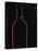 Backlit Shot of a Bottle of Red Wine-Lee Frost-Premier Image Canvas