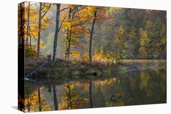 Backlit Trees on Lake Ogle in Autumn in Brown County Sp, Indiana-Chuck Haney-Premier Image Canvas