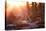 Backlit View of Two Red Deer Stags Battling at Sunrise-Alex Saberi-Premier Image Canvas
