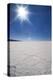 Backlit with Sun Star Shot of Hexagonal Shaped Salt Flats, Salar De Uyuni, Bolivia, South America-Kim Walker-Premier Image Canvas