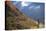 Backpacker on Trail, Huckleberry(Vaccinium Deliciosum), Washington,Usa-Gary Luhm-Premier Image Canvas