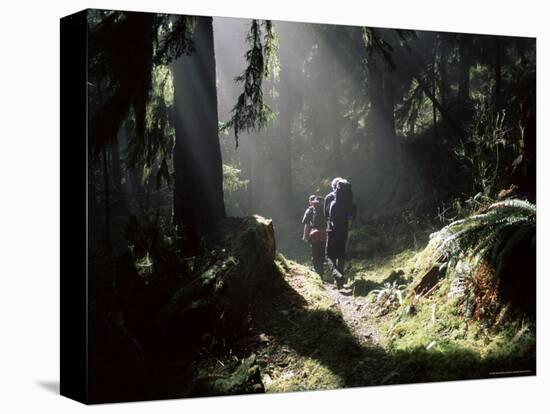 Backpackers in Steamy Light, Queets Vall, Olympic National Park, Washington State, USA-Aaron McCoy-Premier Image Canvas