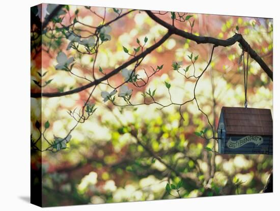 Backyard Bird Feeder, Birdhouse and Spring Flowers-Gayle Harper-Premier Image Canvas