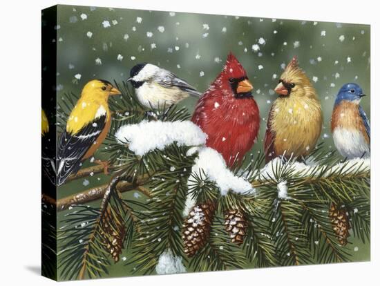 Backyard Birds on Snowy Branch-William Vanderdasson-Premier Image Canvas