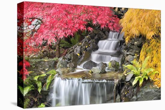 Backyard Waterfall with Japanese Maple Trees-jpldesigns-Premier Image Canvas