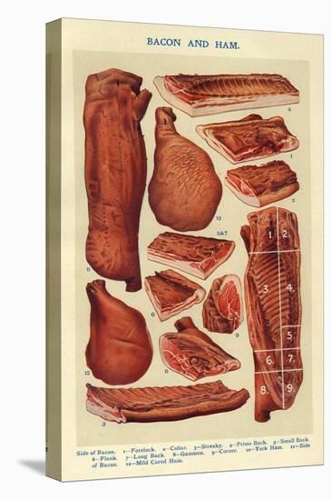 Bacon and Ham, Isabella Beeton, UK-null-Premier Image Canvas