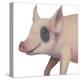 Bacon, Bits and Ham I-Myles Sullivan-Stretched Canvas