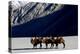 Bactrian camels on sand, Nubra Valley, Ladakh, India-Enrique Lopez-Tapia-Premier Image Canvas