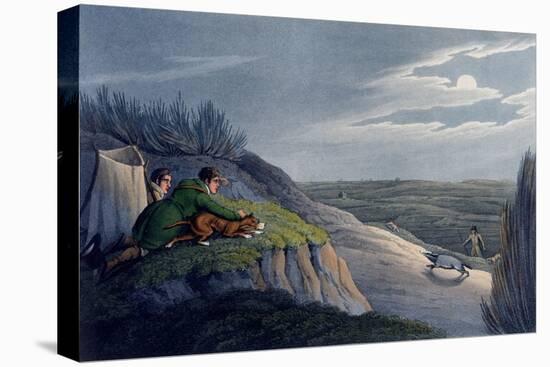 Badger Catching, 1820-Henry Thomas Alken-Premier Image Canvas