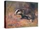 Badger, Swan, Wild Beasts-Cuthbert Swan-Stretched Canvas