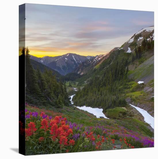Badger Valley Sunrise, Olympic National Park, Washington, USA-Gary Luhm-Premier Image Canvas