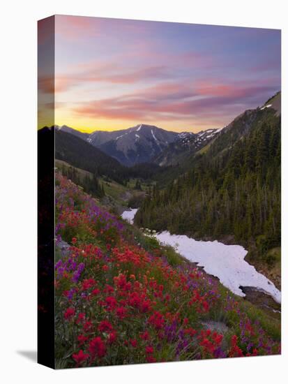 Badger Valley Sunrise, Olympic National Park, Washington, USA-Gary Luhm-Premier Image Canvas