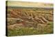 Badlands National Park, South Dakota - Grassy Bluff-Lantern Press-Stretched Canvas