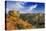 Badlands, Terry Badlands Wilderness Study Area, Montana, Usa-Chuck Haney-Premier Image Canvas