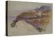 Bagnara above the Straits of Messina, 1847 (Pencil, Ink and W/C)-Edward Lear-Premier Image Canvas