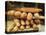 Baguettes in the Window of the Paul Bread Shop, Lille, Flanders, Nord, France-David Hughes-Premier Image Canvas