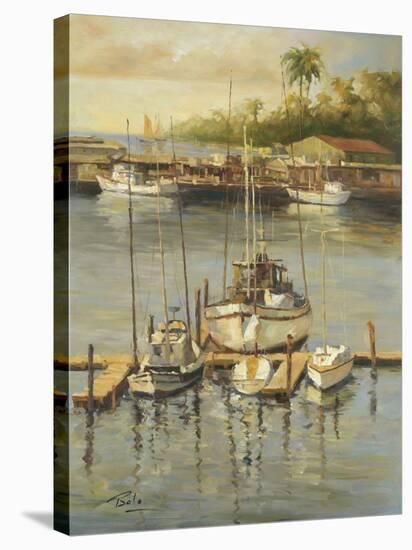 Bahama Harbor-Enrique Bolo-Stretched Canvas