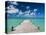Bahamas, Eleuthera Island, Tarpum Bay, Town Pier-Walter Bibikow-Premier Image Canvas