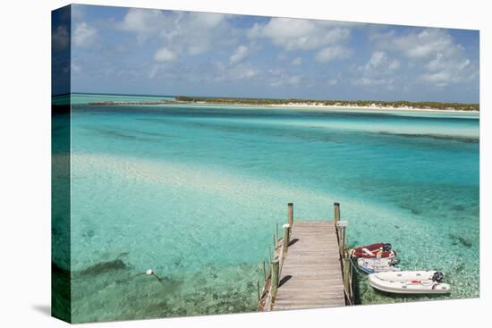 Bahamas, Exuma Island, Cays Land and Sea Park. Pier and Moored Boats-Don Paulson-Premier Image Canvas