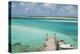 Bahamas, Exuma Island, Cays Land and Sea Park. Pier and Moored Boats-Don Paulson-Premier Image Canvas