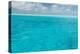 Bahamas, Exuma Island. Seascape of Aqua Ocean-Don Paulson-Premier Image Canvas