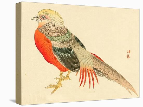 Bairei Gadan - Chinese Pheasant-Bairei Kono-Premier Image Canvas