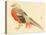 Bairei Gadan - Chinese Pheasant-Bairei Kono-Premier Image Canvas