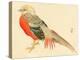 Bairei Gadan - Chinese Pheasant-Bairei Kono-Premier Image Canvas